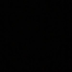 Meet your Posher, Darla